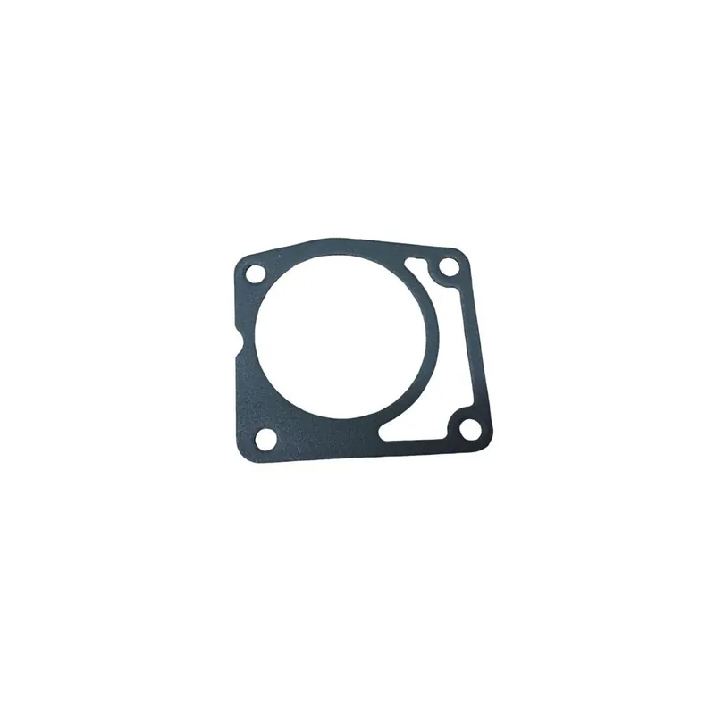 Junta cuerpo bomba Lombardini LDW FOCS Original