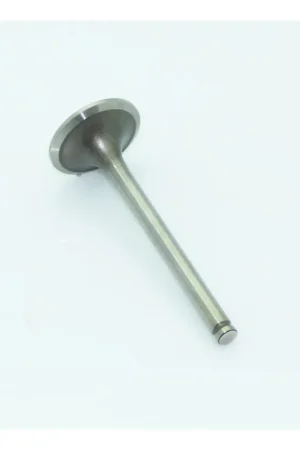 Valvula admision Lombardini LDW 1204/T,LDW 1204,LDW 502,LDW 502 citycar al,LDW 502 citycar P/F,LDW 602,LD Disponible Ahora