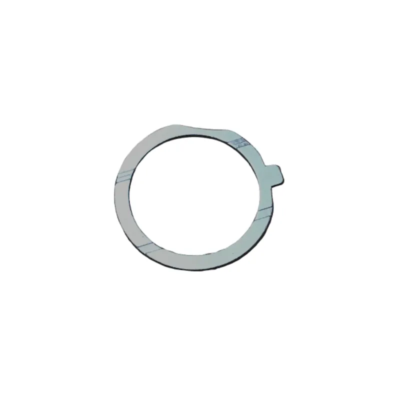 Envío Exprés Axial Lombardini 11LD522-3 y Ruggerini MD 350