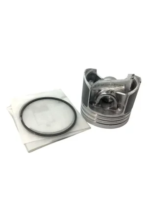 Piston +1,00 Lombardini 15LD440 Liquidacion Ordenar Ahora Mismo