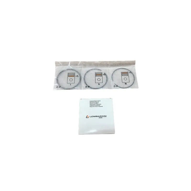 Stock Limitado Juego segmentos +1,00 Lombardini 6LD400,6LD435