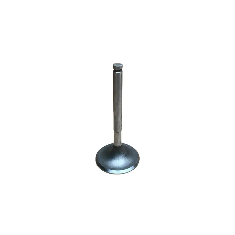 Valvula admision Lombardini 11LD522-3,15LD500 Artesanal