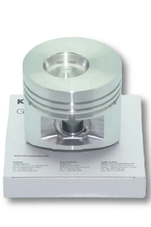 Piston std Lombardini 15LD315 Precio Económico