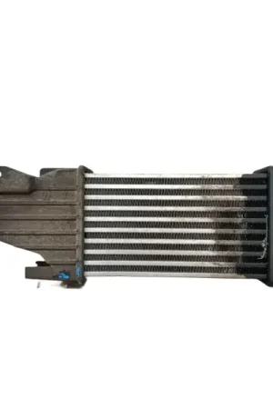 INTERCOOLER 93179039 13128926 Más Vendido