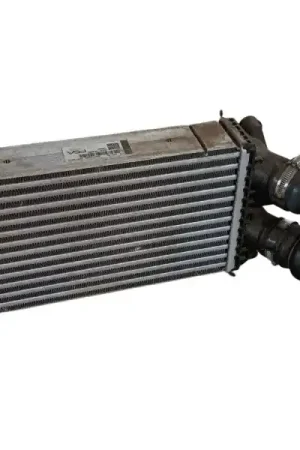 INTERCOOLER 9824742280 Económico
