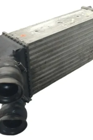 INTERCOOLER 9648551880 876923JE IA1401876923JE Entrega Rápida