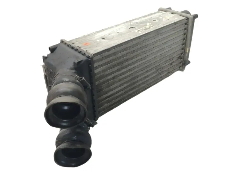 INTERCOOLER 9648551880 876923JE IA1401876923JE Entrega Rápida