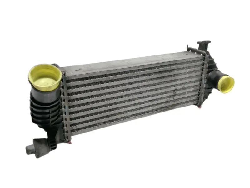 Garantía De Devolución De Dinero INTERCOOLER 8200427469 K6782