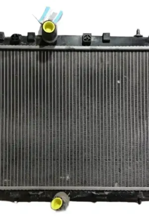 Última Versión RADIADOR AGUA 1330P9 890960000