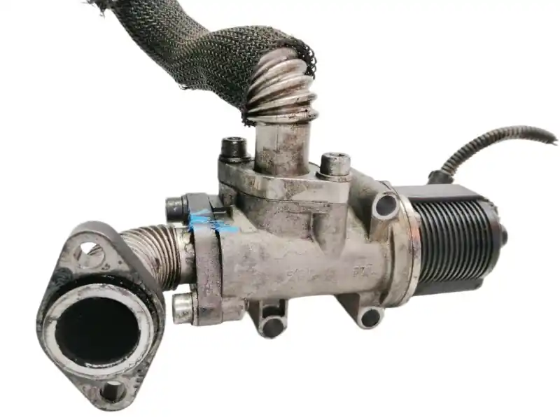 VALVULA EGR 55204235 72294525 B159070113C Promoción
