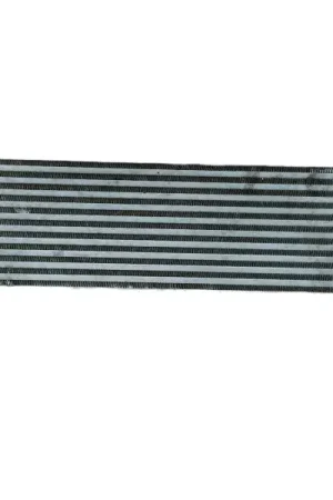 Oferta Especial INTERCOOLER R7368003