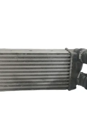 INTERCOOLER 9648551880 876923J IA1401 Certificado