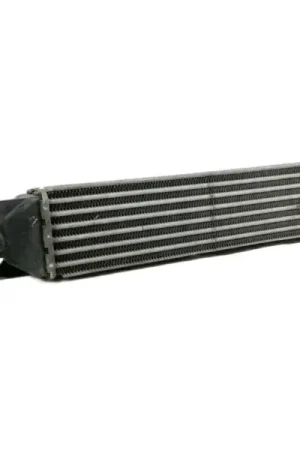 INTERCOOLER Profesional