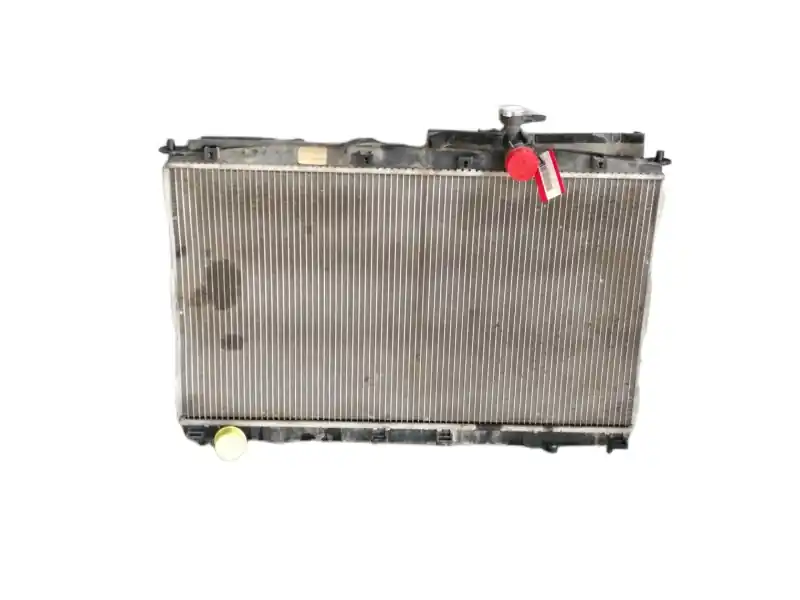 RADIADOR AGUA 253102B000 Exclusivo