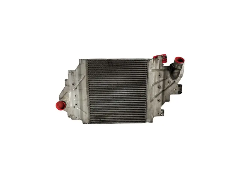 Rebajas INTERCOOLER 8200252209