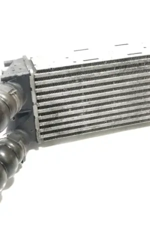 Marca Reconocida INTERCOOLER 9656503980