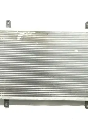 Alta Calidad RADIADOR AGUA 99000629