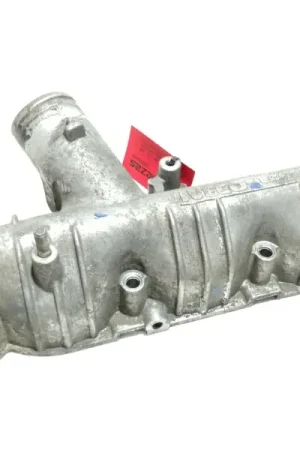 Mayoreo COLECTOR ADMISION 504058786