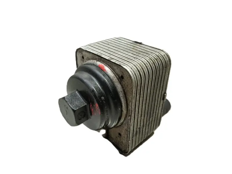 Premium ENFRIADOR ACEITE MOTOR 038117021C 038117061B