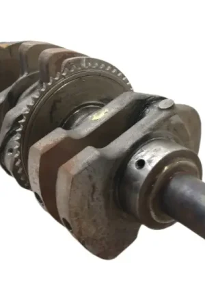 CIGUEÑAL 13103986 Más Vendido