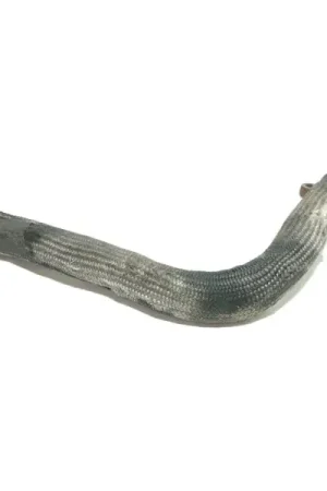 TUBO Popular