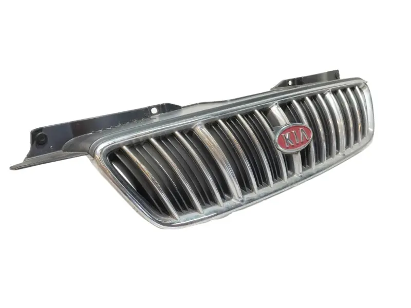 Imprescindible (Must-Have) REJILLA DELANTERA 0K2C350710
